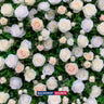Artificial Floral Event Wall Backdrop – Style 41