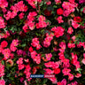Artificial Floral Event Wall Backdrop – Style 65