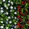 Artificial Floral Event Wall Backdrop – Style 74